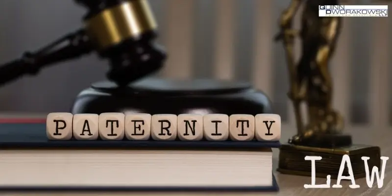 best paternity lawyer in orange county