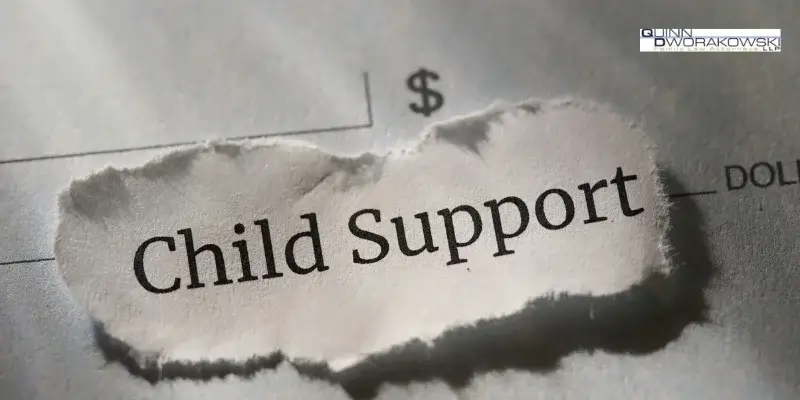 best coto de caza child support lawyer