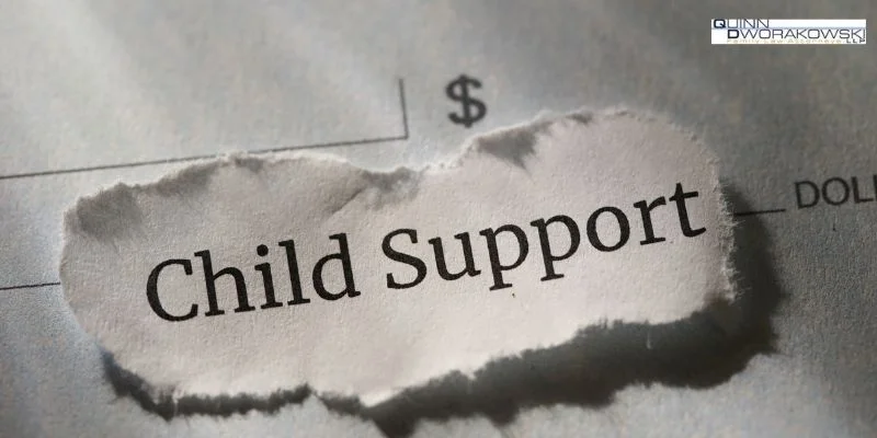 experienced anaheim hills child support lawyer