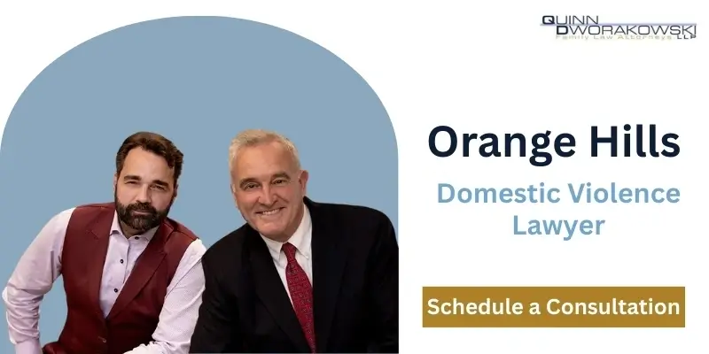 best domestic violence lawyer in orange hills