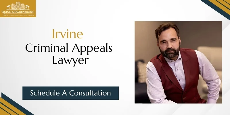 best criminal appeals lawyer in irvine