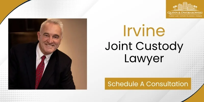 best joint custody attorney in irvine