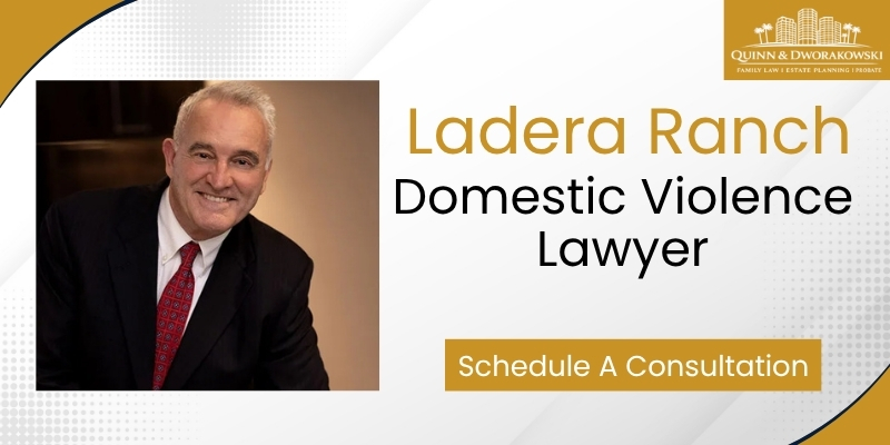 best ladera ranch domestic violence lawyer